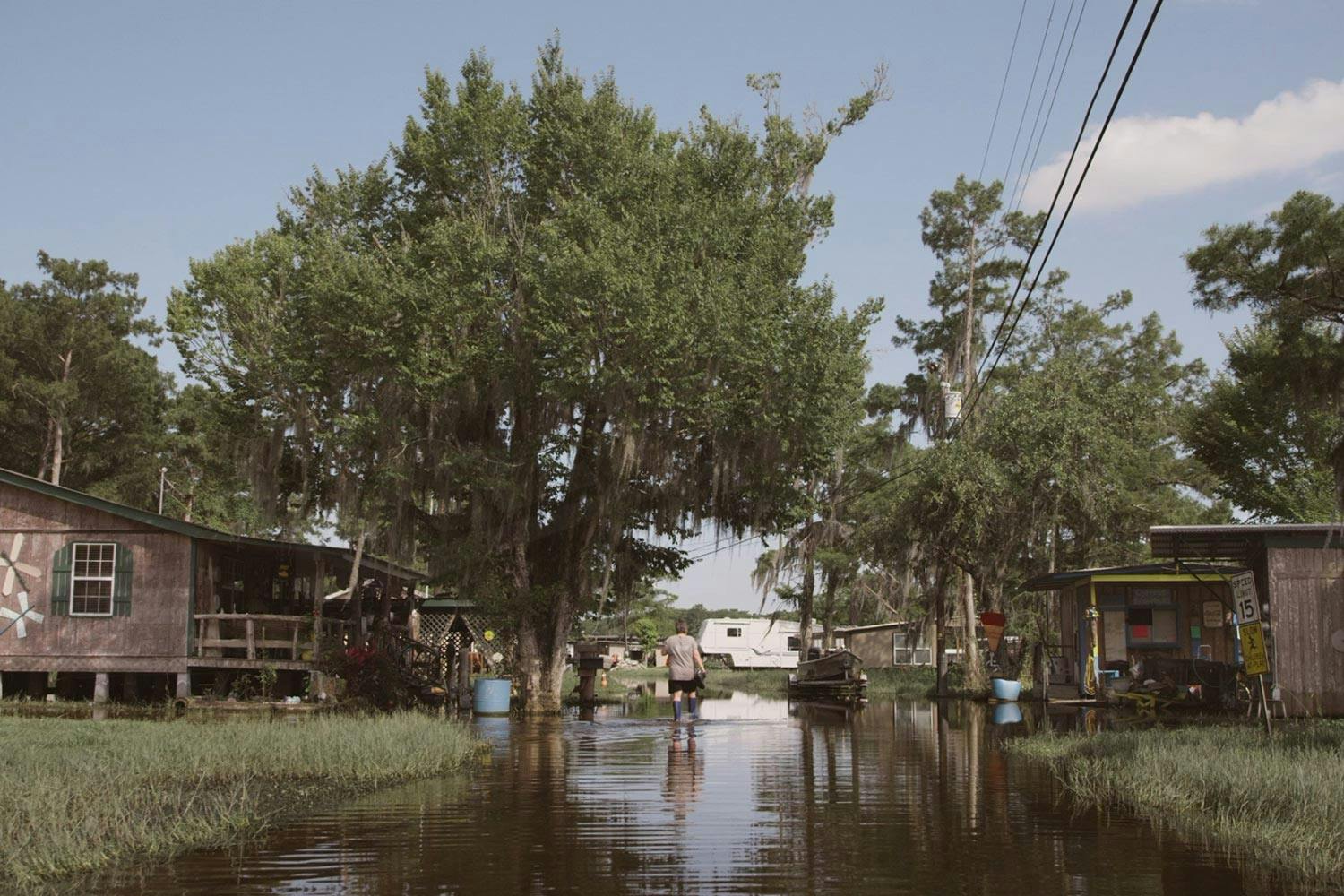 A flooded neighbourhood in Pierre Part, Louisiana. Trees loom over wooden homes sitting on struts above the floodwater.