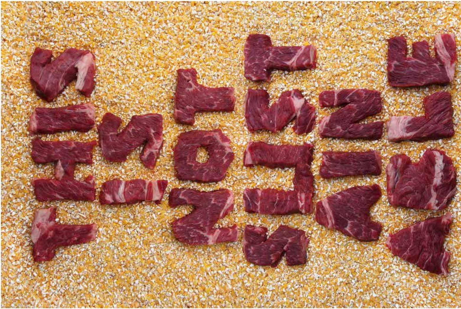 Key text: "This Is Not Sustainable" spelled out in pieces of beef on a background of animal feed.