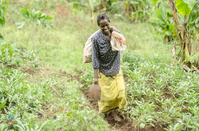 Kisumu's Climate-smart Farmers - Asparagus Magazine