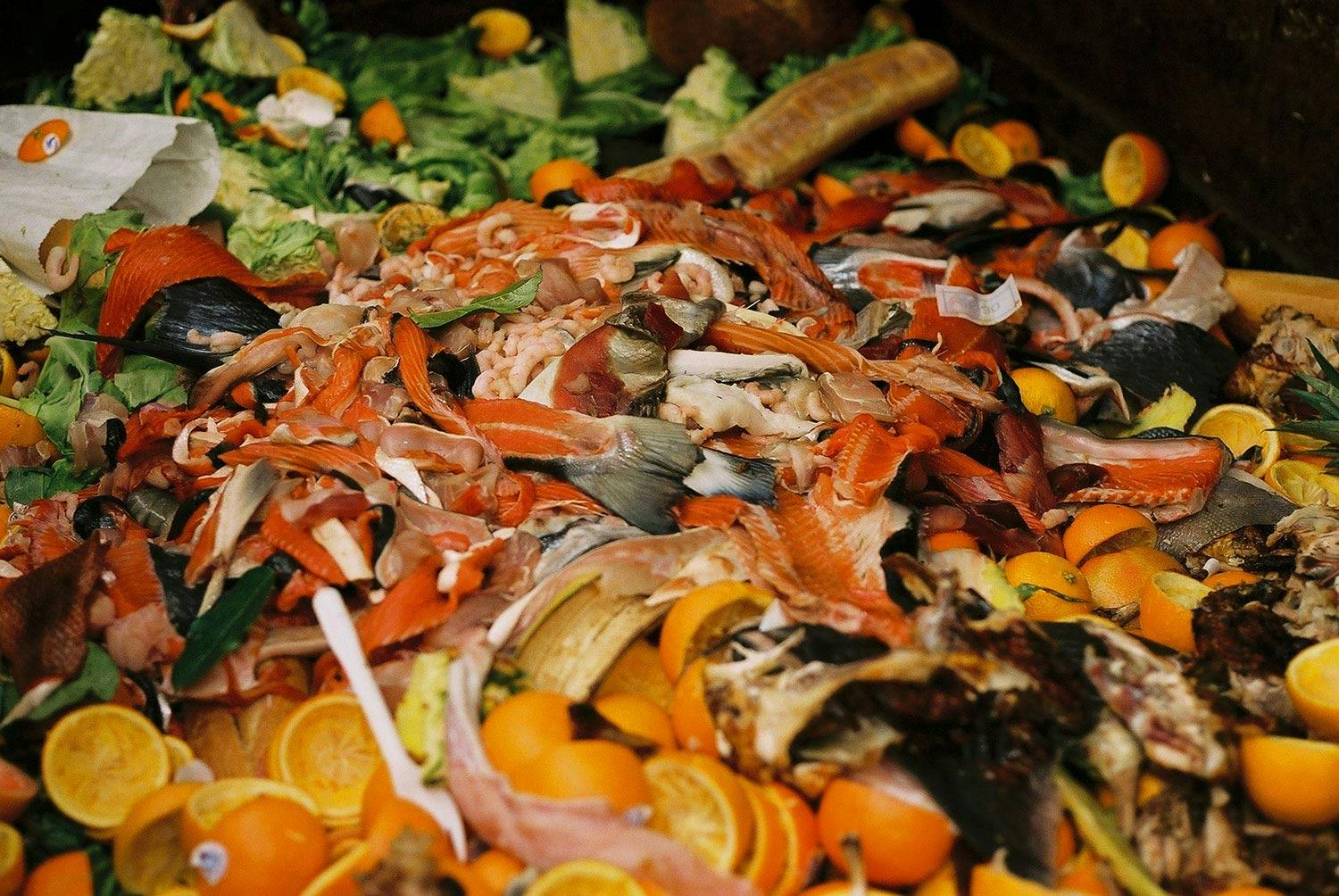 Image of a variety of food waste
