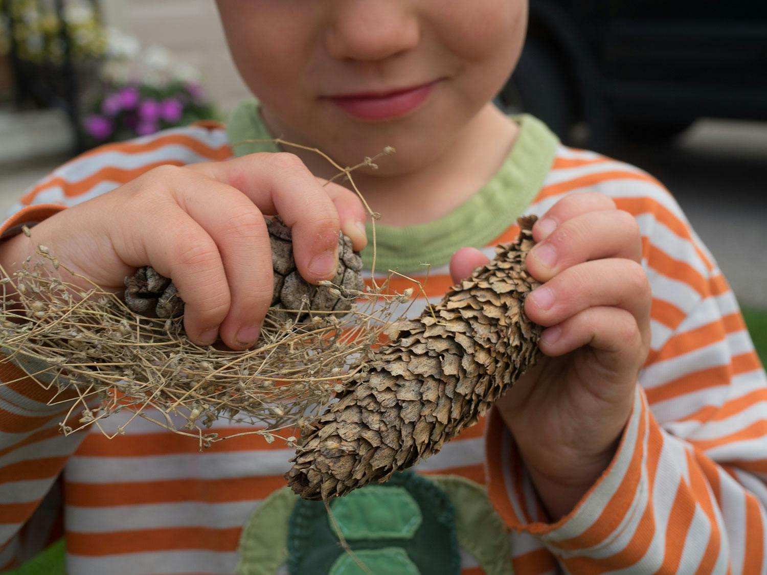 Close up of Little Grey, the author's child, playing with two large pinecones and a bundle of dried reeds.
