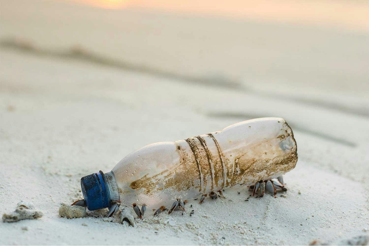 A plastic bottle encrusted with dirt and sand on a white sand beach.