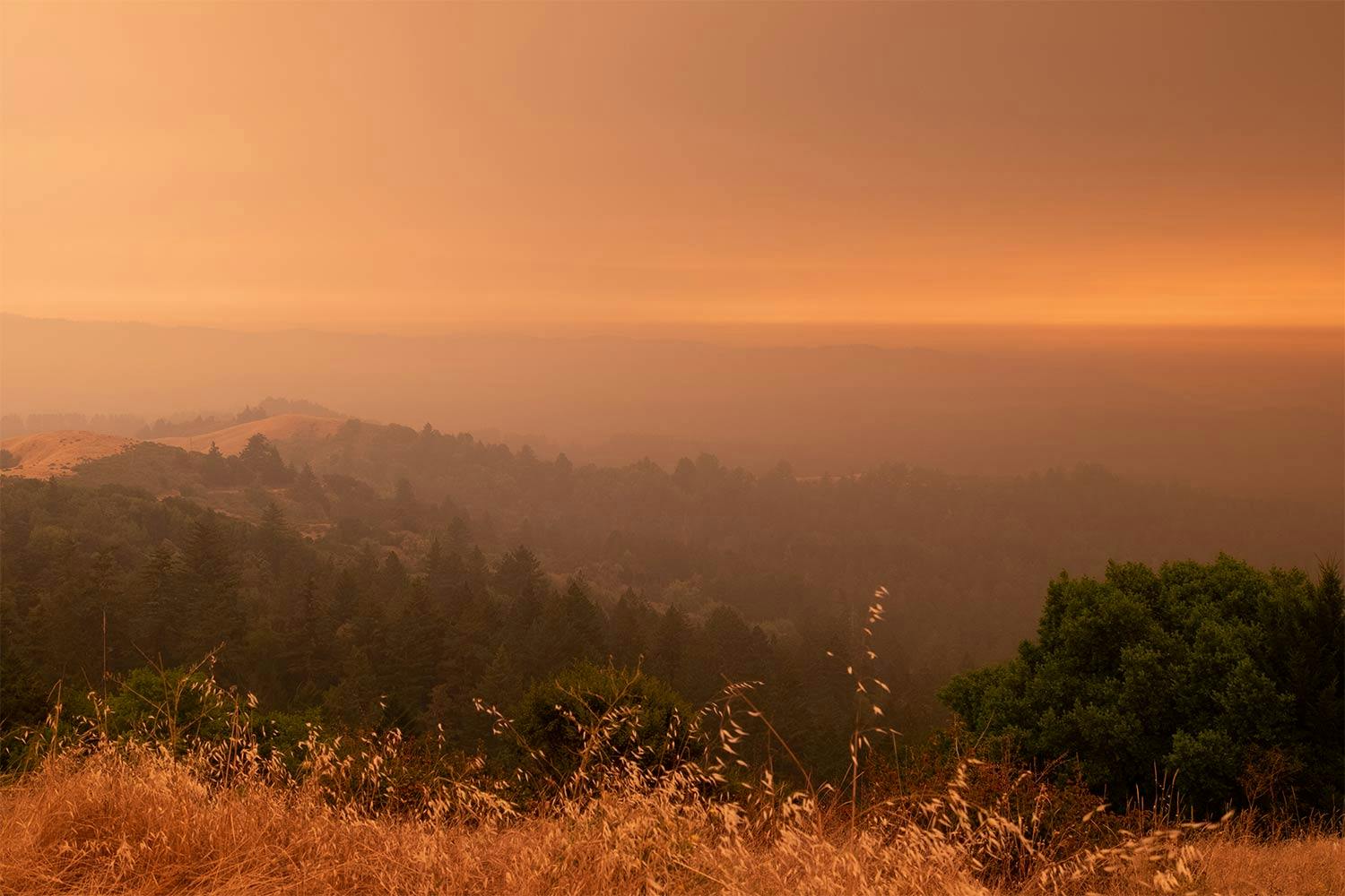Tree-covered hills in California's Santa Cruz Mountains appear under an orange haze caused by wildfire smoke.