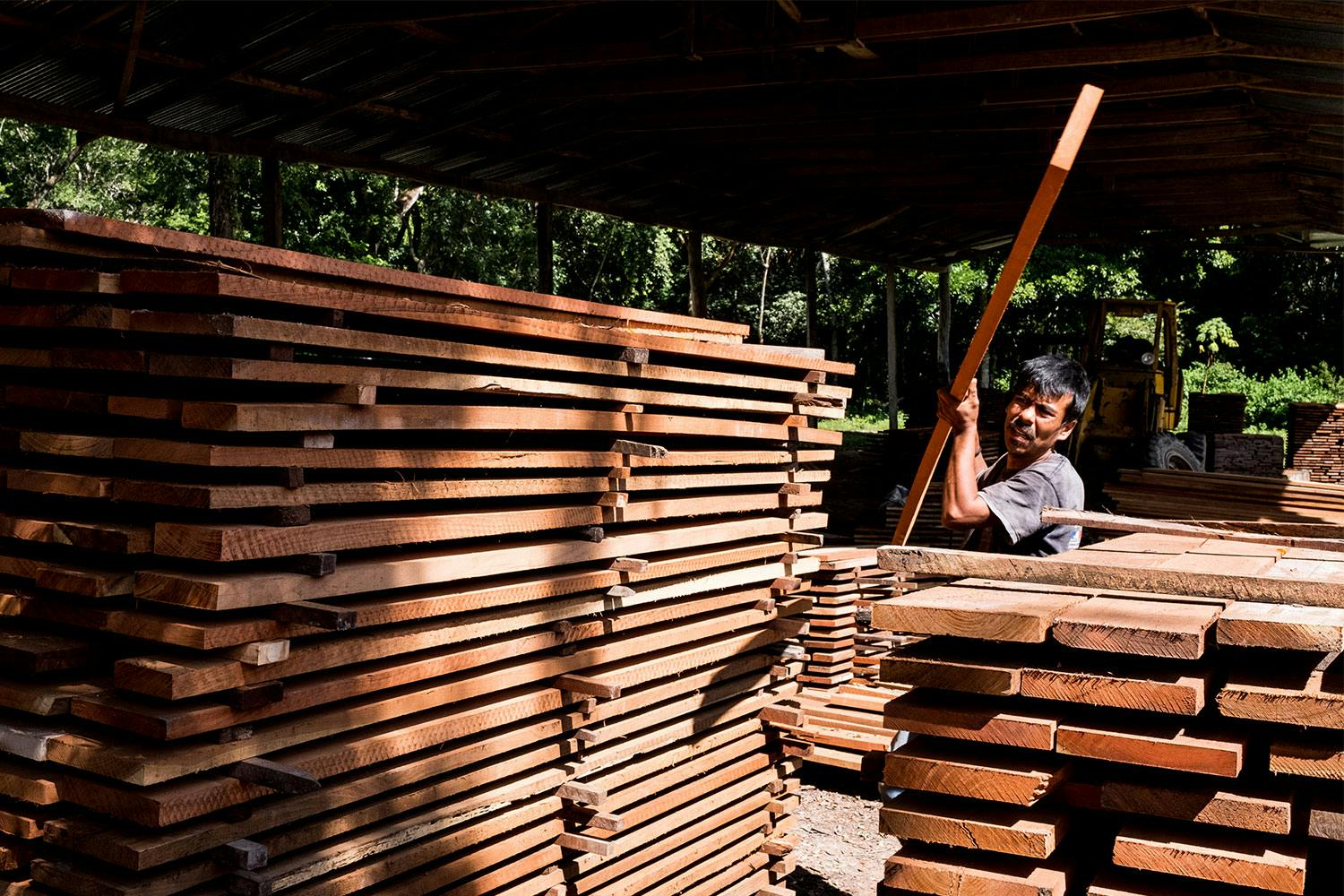 A worker adds a board to a stack of lumber under a canopy in a forest in Uaxactun, Guatemala.