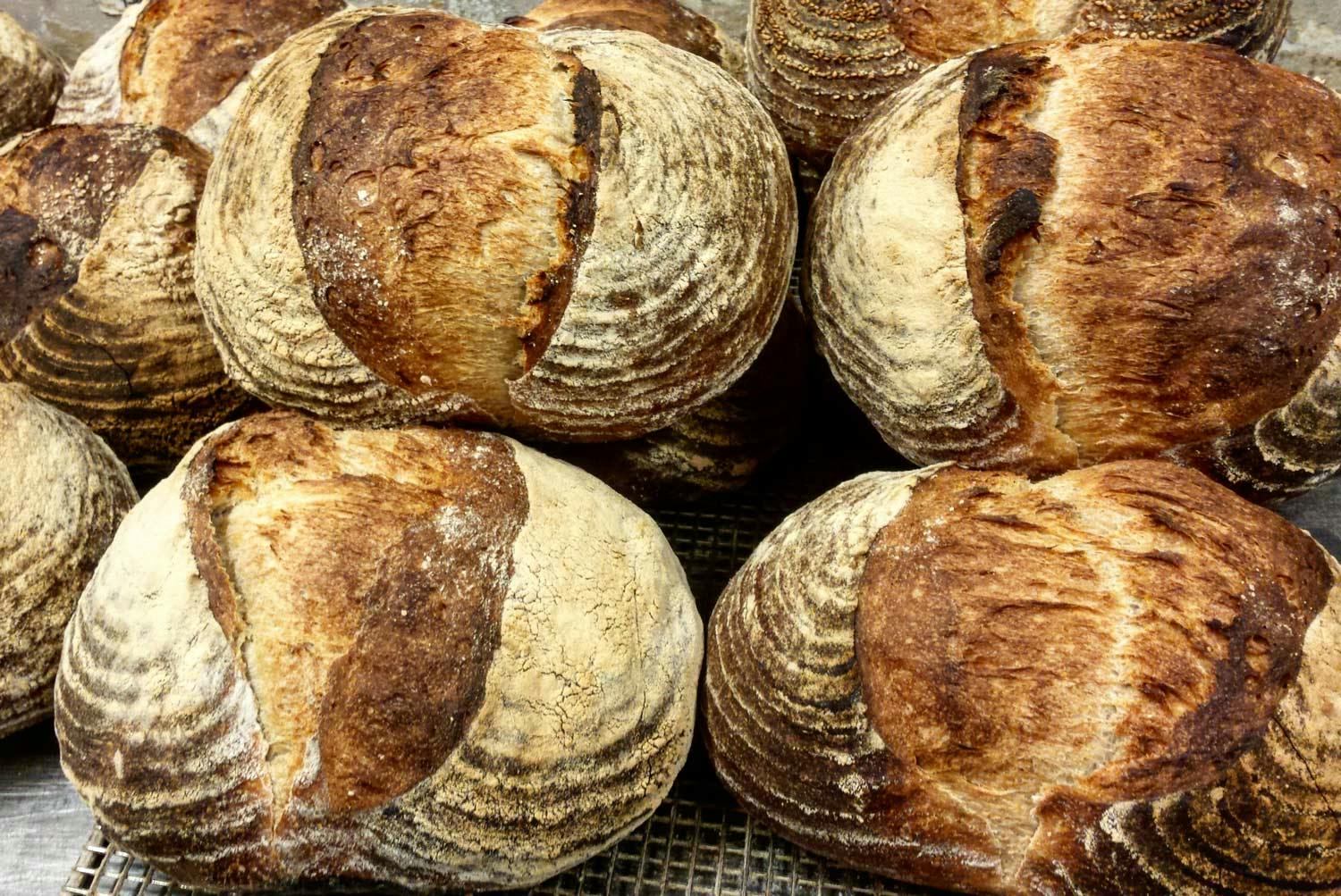 A stack of golden, oval-shaped, crusty sourdough bread dusted with flour at Bread by Us bakery.