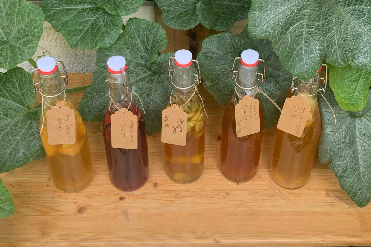 Five clear glass bottles of golden kombucha with paper labels, sitting on a wooden surface surrounded by big green leaves.