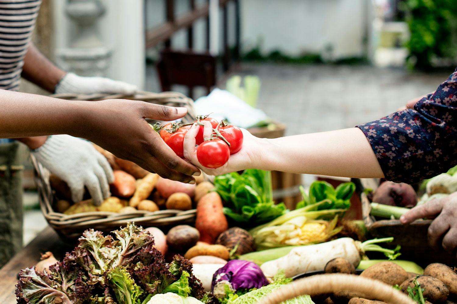 A person hands a bunch of tomatoes to another person at a vegetable stand full of assorted produce.